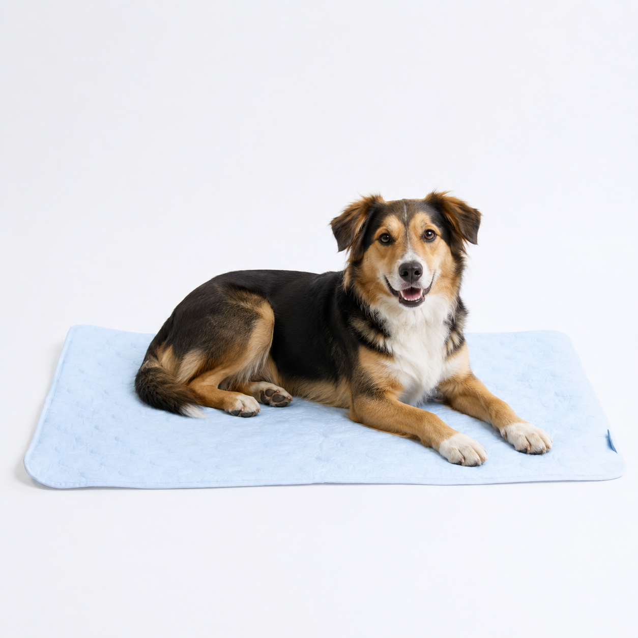 Pets Ice Cooling Blanket